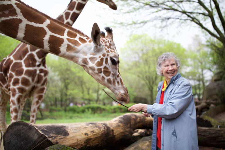 Giraffologist Anne Innis Dagg feeding a giraffe