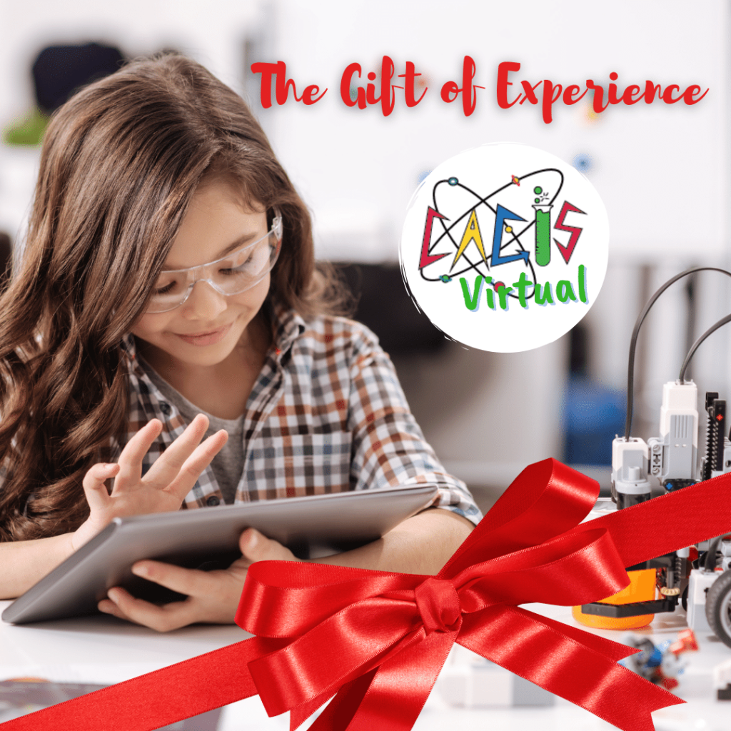 CAGIS Virtual Christmas gift poster