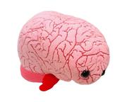 brain toy