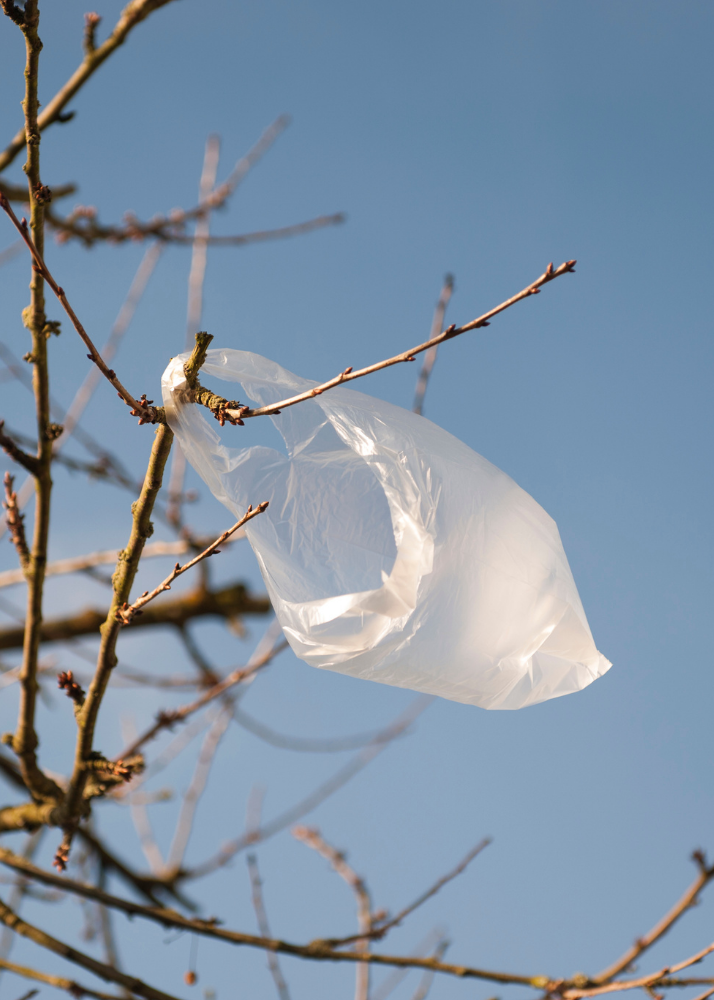 compostable plastic bag