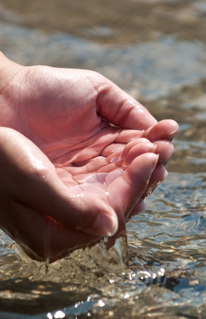 cupped hands holding stream water