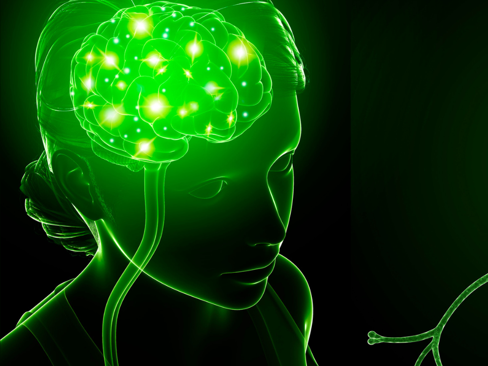 Digital image of a green glowing brain