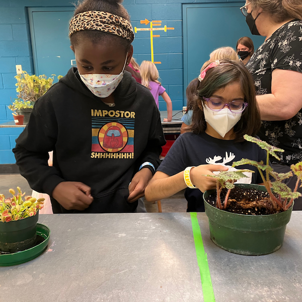 CAGIS Members examine plants