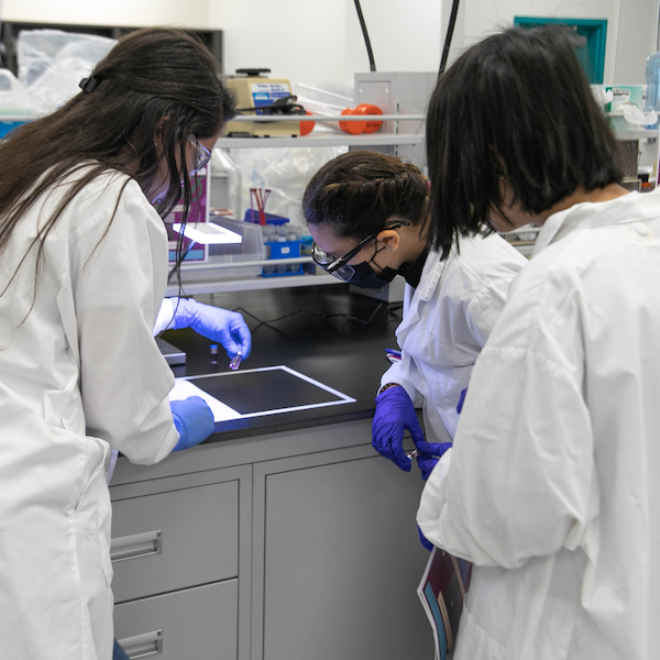 Two women and a girl examining chemicals in a lab