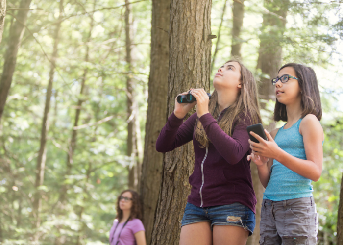 Girls in a forest with binoculars