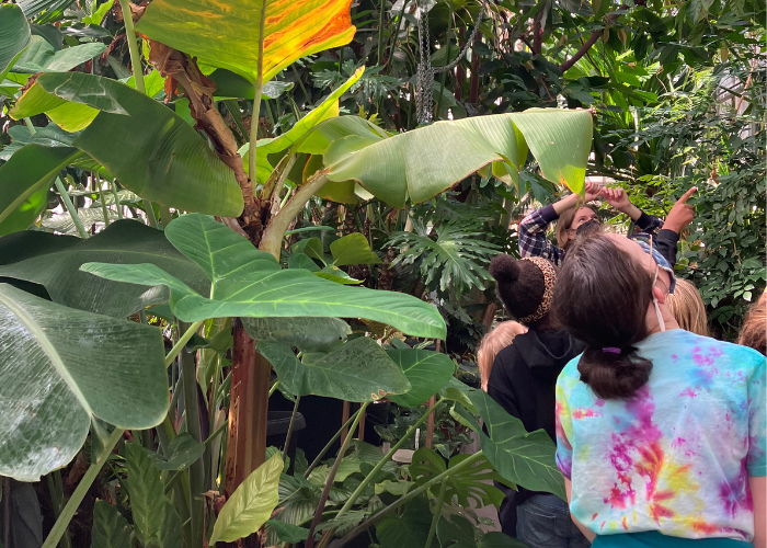 Girls walking through a greenhouse